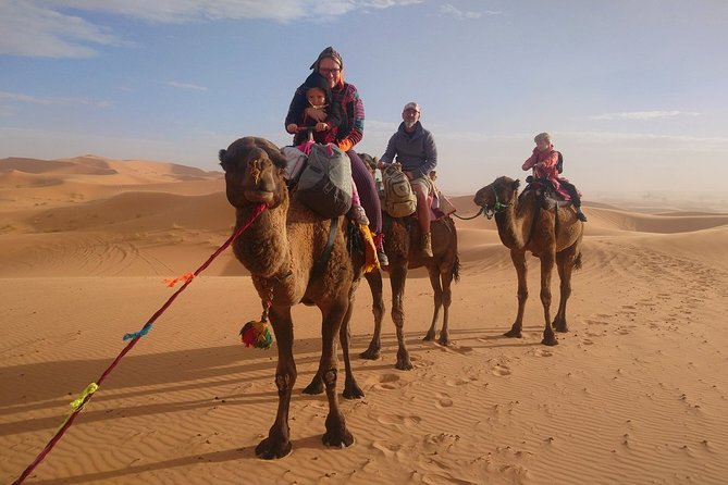 7-Day Private Tour From Casablanca to Sahara via Chefchaouen - What To Expect During the Tour