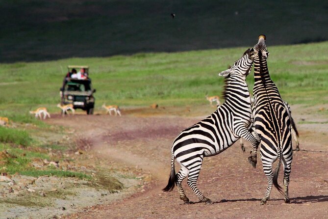 7 Days Northern Luxury Safari - Professional Guides