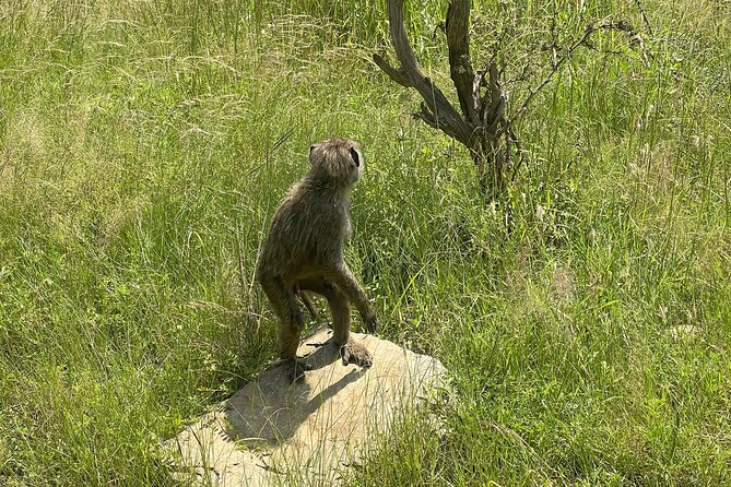7 Days Northern Park Adventure From Arusha - Day 3: Tarangire to Lake Manyara National Park