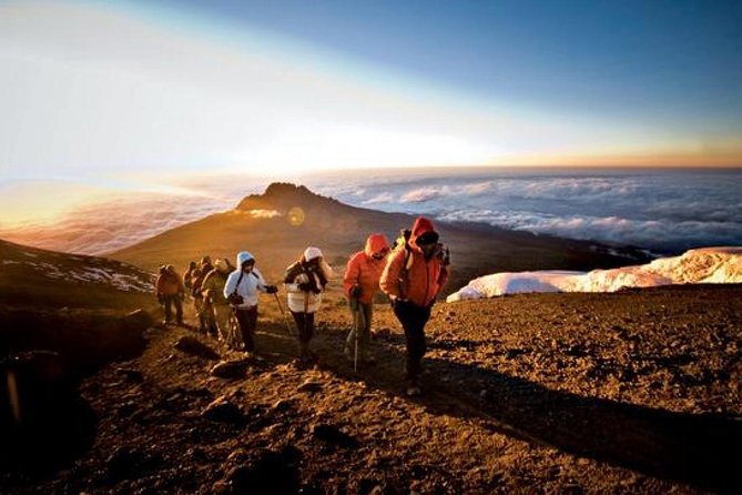 7 Days Private Climbing Trough Machame Route to Kilimanjaro - What To Expect During the Climb