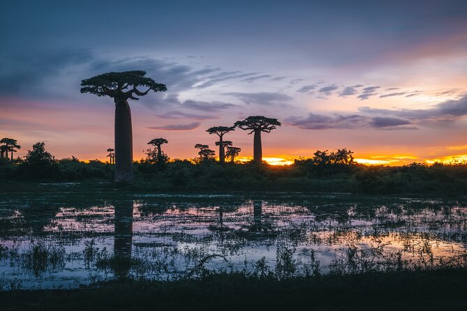 7- Days Private Tour Baobab Safari - Tour Details