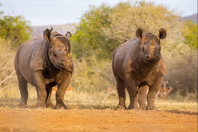 7 Days Rhino Ngorongoro Crater Safari Tour - Accommodation Information