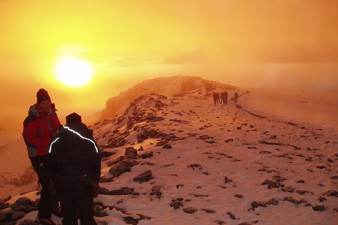 8 Day Kilimanjaro Lemosho Climb - Day 4: Shira 2 Camp to Moir Hut