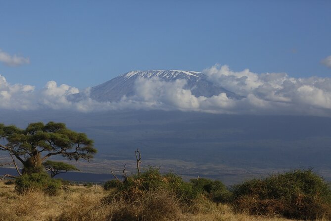 8 Day Masai Mara, Lake Nakuru, Lake Naivasha Amboseli Safari - Frequently Asked Questions