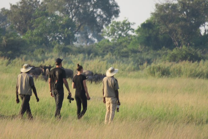 8 Day Okavango Safari - Wilderness Trail (Inner Delta & Moremi) - Wildlife Encounters