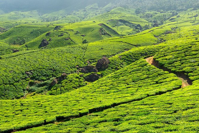 8 Days Kerala Private Tour (3 Star) With Munnar, Houseboat & Cab- Iris Holidays - Additional Information for Travelers