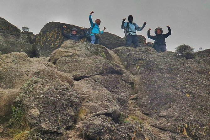 8 Days Lemosho Route Climbing - Booking Information