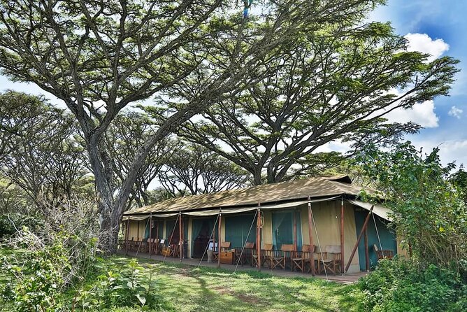 8 Days Private Tour Around Serengeti and Arusha - Tour Highlights and Activities