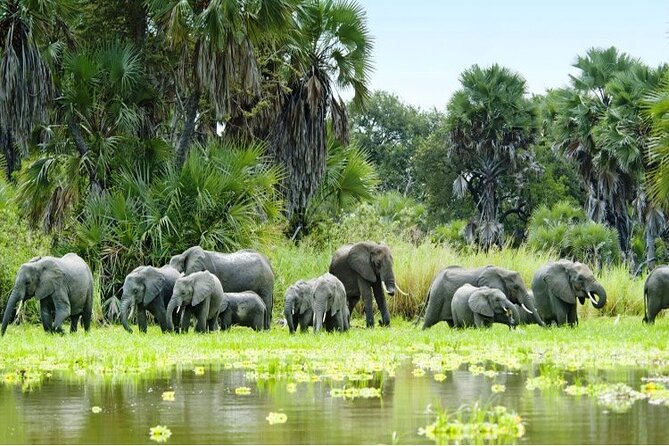 9-Day Cultural Tour, Northern Circuit Safari & Zanzibar Holiday - Important Travel Details