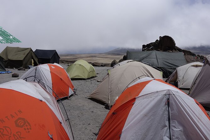 9 Days Kilimanjaro Climb via Lemosho Route - Health and Safety Precautions