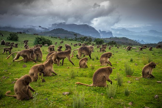 9 Days Tours To Danakil Depression, Simen MNP, Lalibela With Omo Valley Tribes - Essential Directions