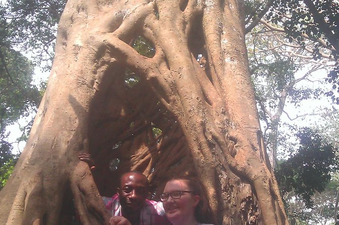 A 4 Days Cultural And Village Stay - Day 4: Farewell and Departure