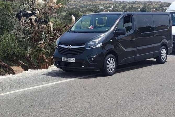 A Drive Outside Essaouira and a Visit to the Argan Trees - Booking Process and Policies