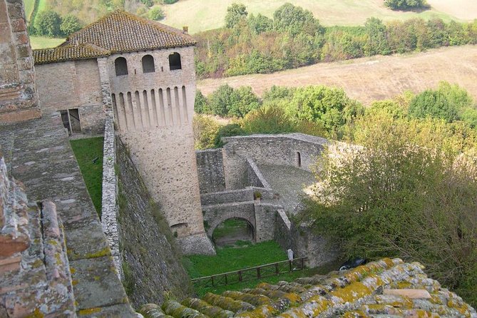 A Love and Wine Story in Parma Valley - Booking Information and Tips