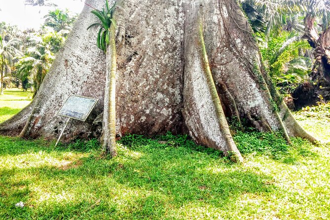 Aburi Botanical Gardens And Boti Falls Private Tour - Cancellation Policy