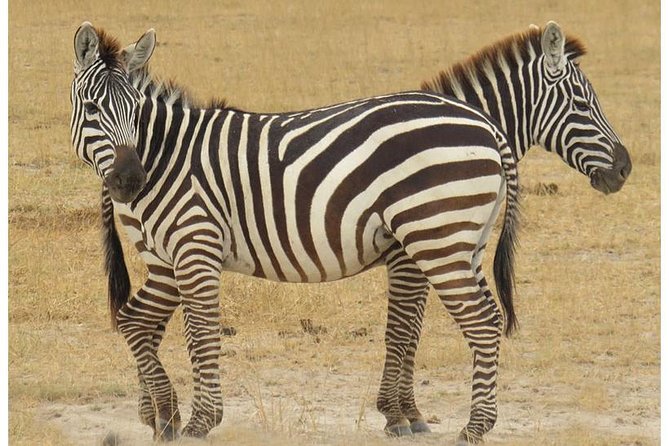 African Wildlife & Nature - 5 Kenya National Parks - 6 Day Jeep Safari - The Sum Up