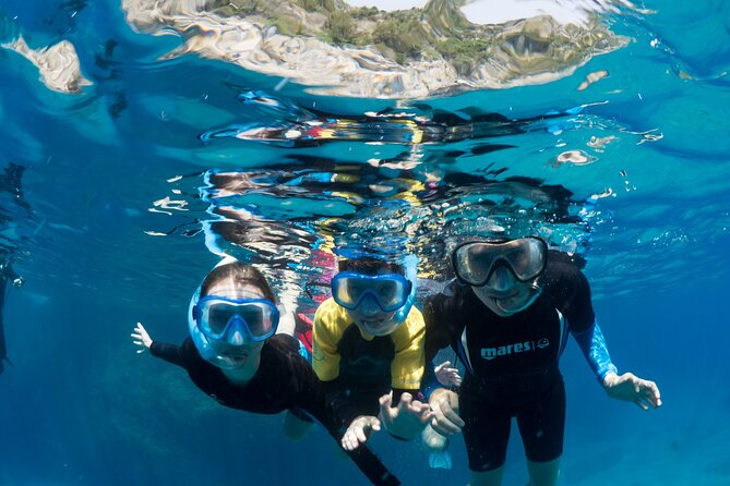 Afternoon Snorkelling Guided by a Marine Biologist in Sorrento - Booking Information