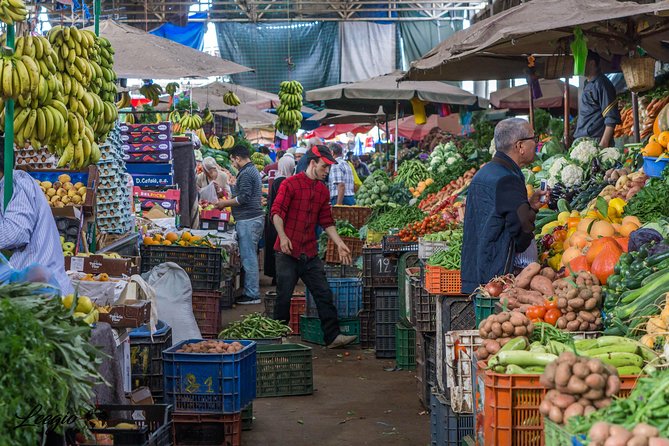 Agadir City Tour & Medina Coco Polizzi + Entrance Tickets - Inclusions