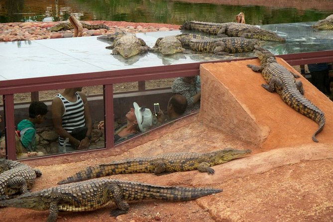 Agadir Crocoparc & Visite Souk Lhad Agadir Ticket Included - Accessibility Features