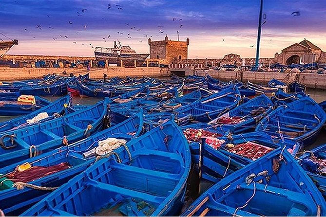 Agadir Day Trip To ​Essaouira
