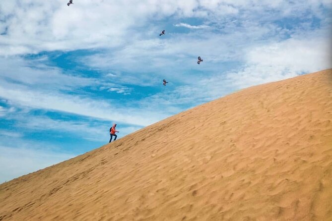 Agadir Desert Safari Day Tour With Lunch - Cancellation Policy