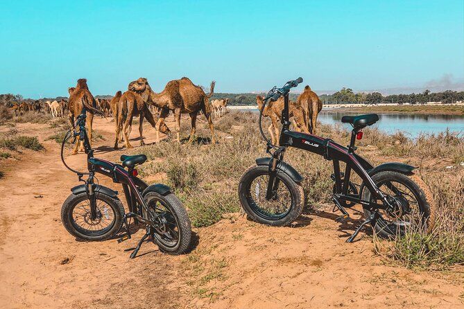 Agadir Ebike Private Tour With Photographer - Duration, Group Size, and Price