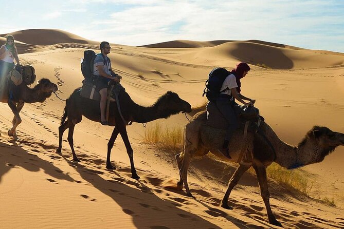 Agadir Sunset on Camel Ride With Barbecue - Pricing and Guarantee