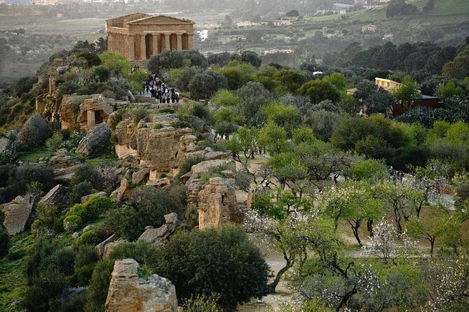Agrigento - Private Tour to the Valley of the Temples From Palermo - Booking and Cancellation Policy