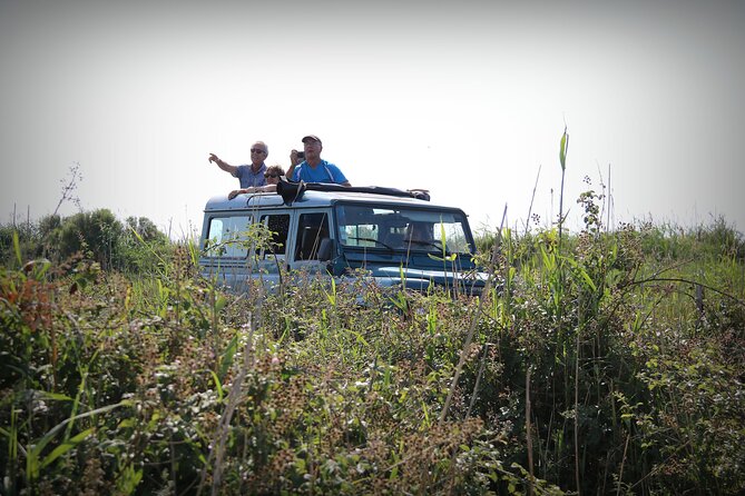 Aigues Mortes: 4x4 Photo Safari in the Camargue - Photography Tips