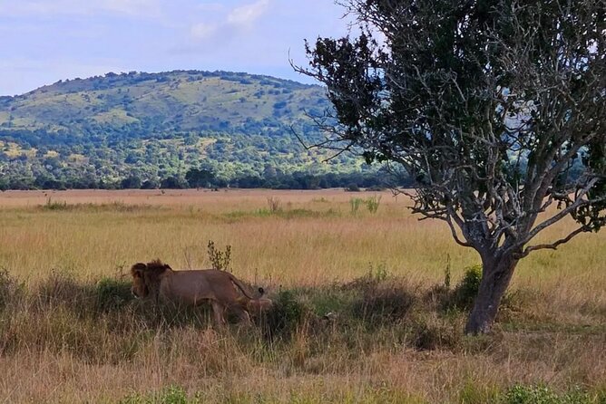 Akagera National Park One Day Safari Experience - Sustainable Practices