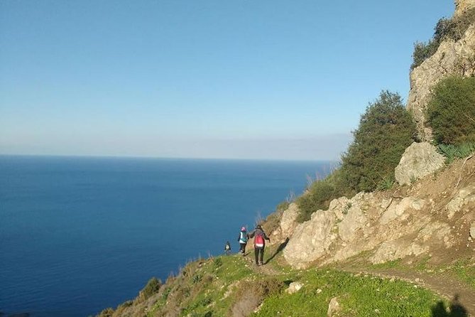 Akamas Panorama (Short) Walk - (Private From Nicosia) - Booking Information and Price
