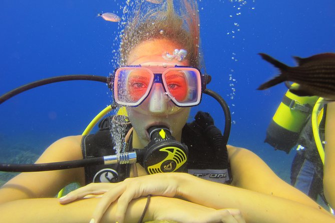 Alanya: Scuba Diving Experience for Beginners - Pricing for the Diving Experience
