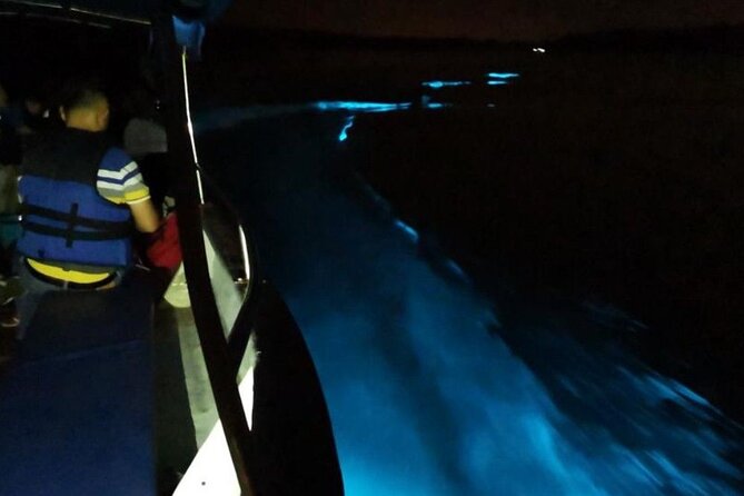 Amazing Fireflies With Blue Tears Watching & Kuala Selangor Tour - Private Tour Experience