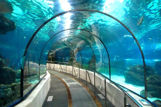 Amazing Tour To Grand Aquarium Hurghada With Transfer In Hughada - Frequently Asked Questions