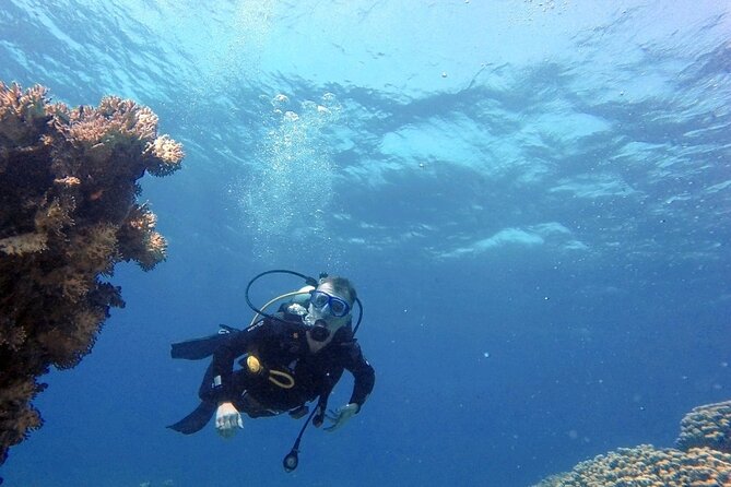 Aqaba Private Scuba Diving Activity With Pick up - Reviews and Ratings