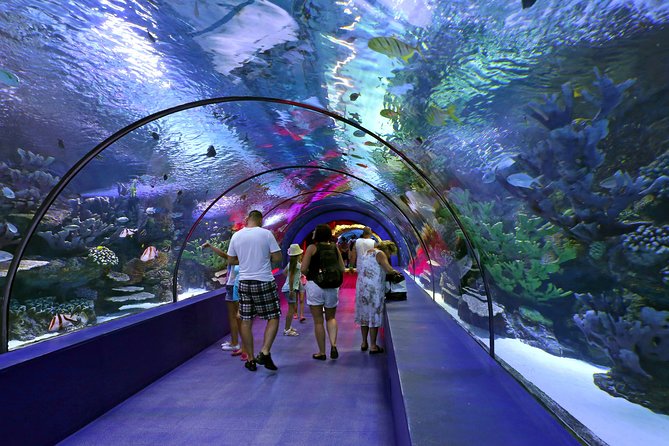 Aquarium & Face2face Wax Museum From Side - Frequently Asked Questions