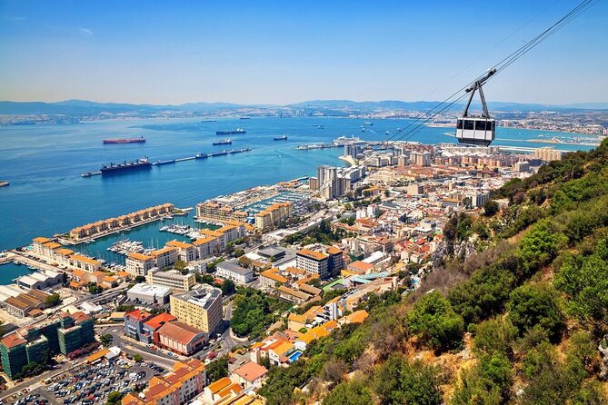 Arrival Transfer: Malaga Airport AGP to Malaga by Luxury Van - Availability