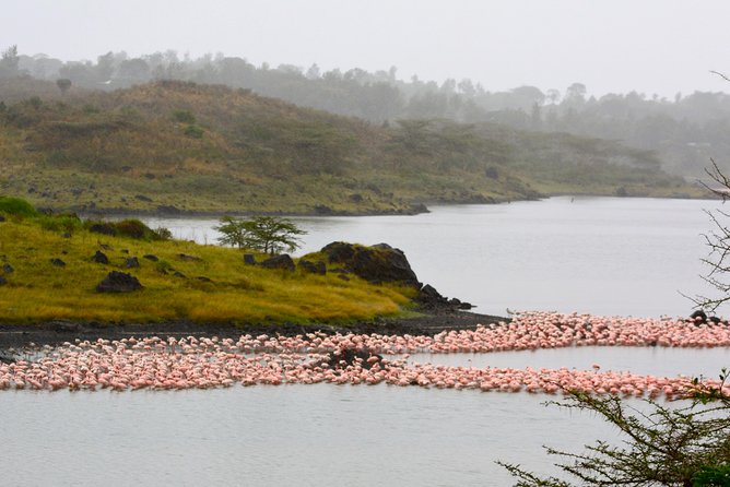 Arusha National Park Guided Day Tour From Arusha - Inclusions and Amenities