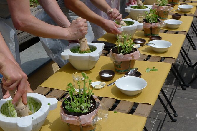 Authentic Ligurian Pesto Lesson - Cancellation Policy and Reviews