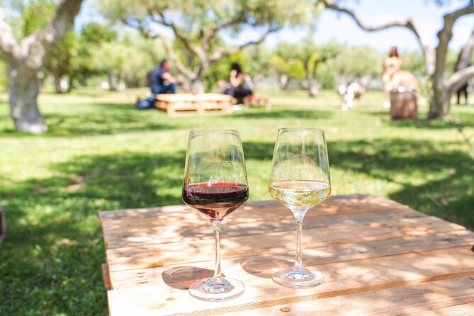 Barumini Su Nuraxi and Wine Tasting - Transportation and Meeting Point