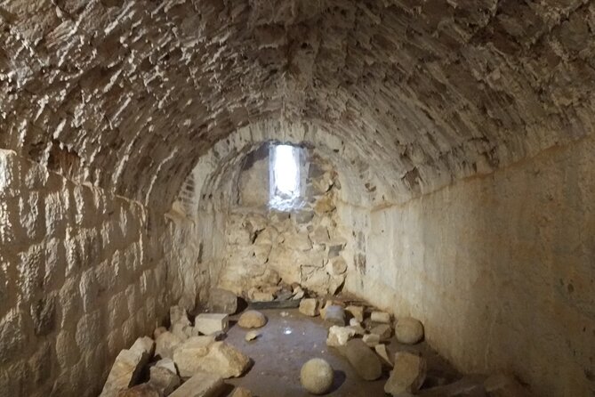 Basketball, History & Archaeology - A Very Unusual Walking Tour - Reviews
