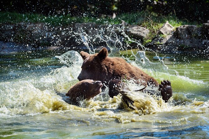 Bears Sanctuary & Dracula Castle - Tickets Included - Frequently Asked Questions
