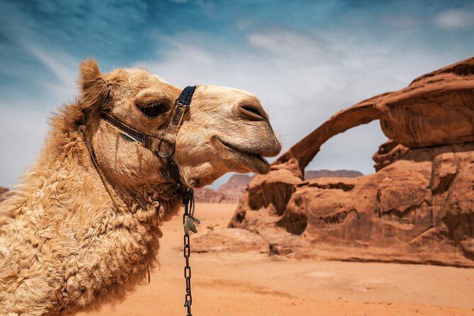 Best of Wadi Rum | Full Day Jeep Tour + Sleep Under the Stars | Pack All-In - Additional Information and Requirements