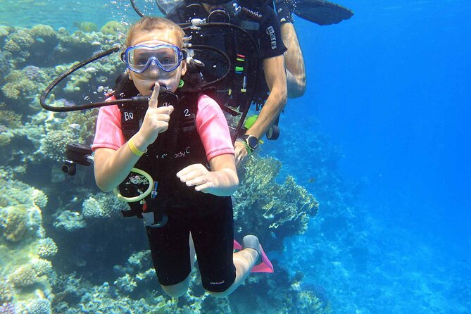 Best Yacht Tour Including Two Dives With Lunch in Hurghada - Dive Details