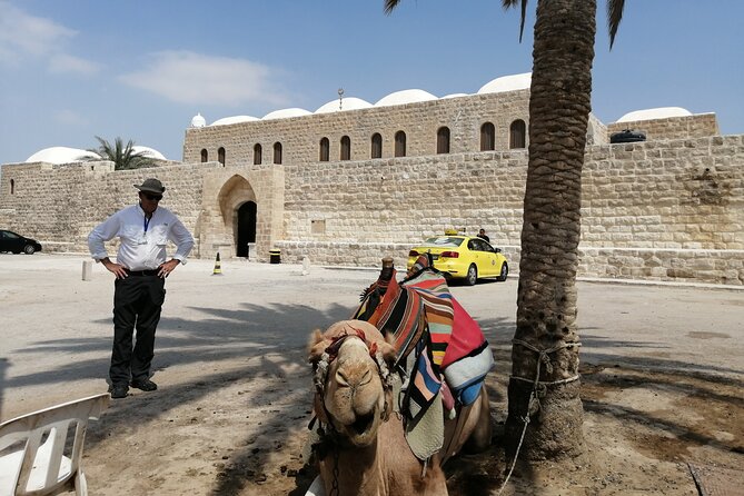 Bethlehem, Jericho, Hisham Palace and Qumran Full Day Private Tour - Customer Reviews