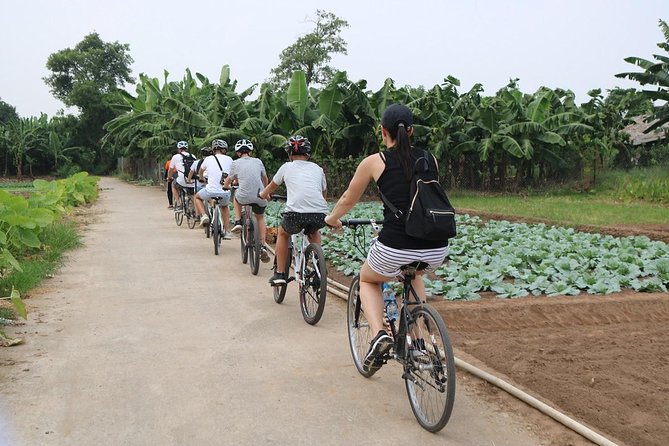 Bicycle City Tour 4 Hours,Highlight, Backstreet Alley Rural Area - Traveler Information