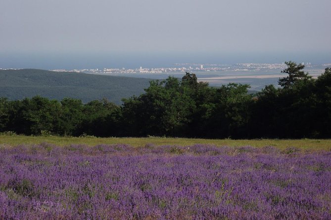 Birds, Nature and Wine Tour From Nessebar or Bourgas - Tour Highlights