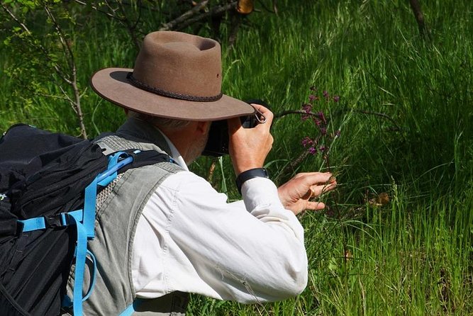 Birdwatching Albania - Directions