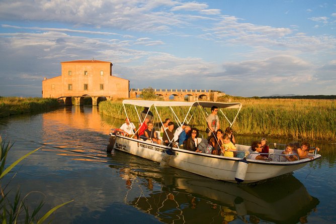 Birdwatching and Photo Tour in Diaccia Botrona - Meeting Point Directions