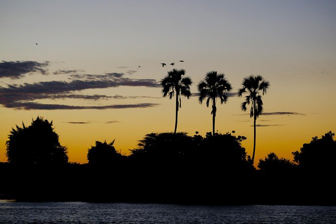 Birdwatching Cruise in Zambezi River With Breakfast - Inclusions and Beverages